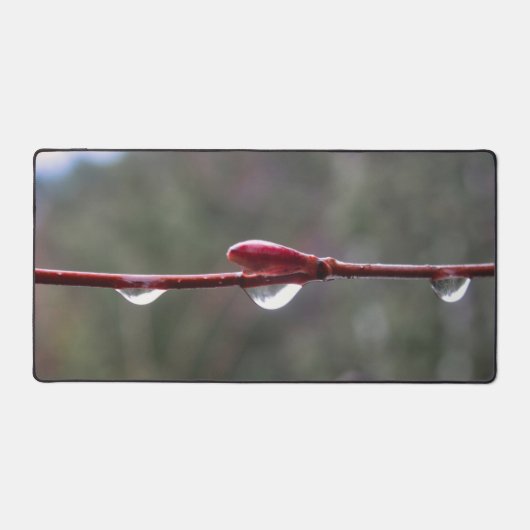 Na de regen bureaumat (Voorkant)