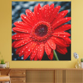Na de regen Gerbera Daisy realisme Schilderen Canvas Afdruk (Insitu (Woonkamer))