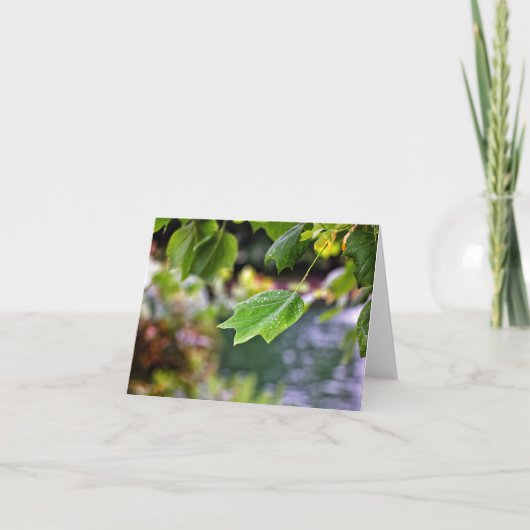 Na de regen kaart (Voorkant)