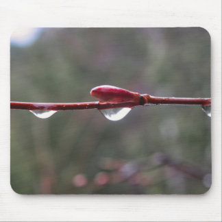 Na de regen muismat