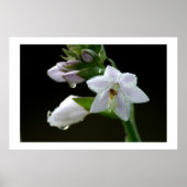 Na de regen poster (Voorkant)