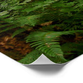 na de regen poster (Hoek)