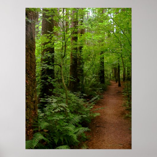 na de regen poster (Voorkant)