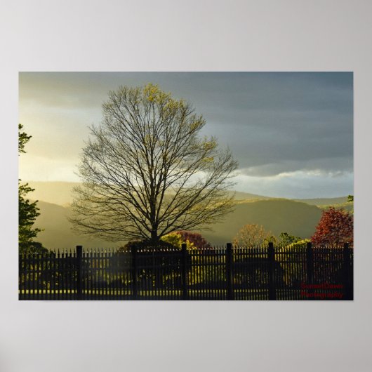 Na de regen poster (Voorkant)