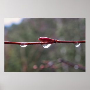 Na de regen poster