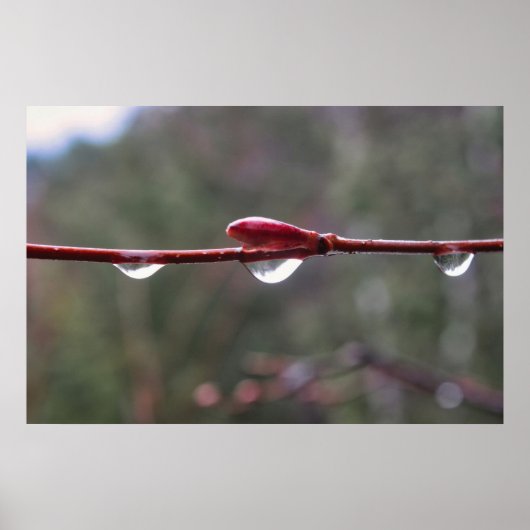 Na de regen poster (Voorkant)