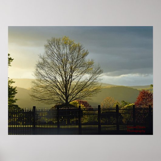 Na de regen poster (Voorkant)