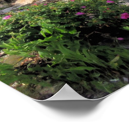 Na de regenbui - druk poster (Hoek)