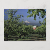 Na, de V.S., Oregon, dichtbij Mt. Kap van de Briefkaart (Voorkant)