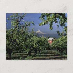 Na, de V.S., Oregon, dichtbij Mt. Kap van de Briefkaart