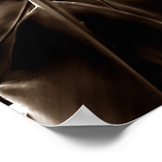 Na direção do sol poster (Hoek)