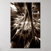 Na direção do sol poster (Voorkant)