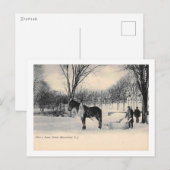 Na een sneeuwstorm, Bloomfield, NJ  Briefkaart (Voorkant / Achterkant)