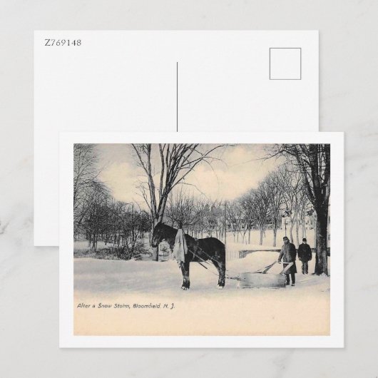 Na een sneeuwstorm, Bloomfield, NJ Briefkaart (Voorkant / Achterkant)