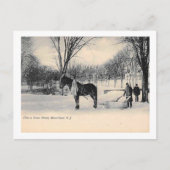 Na een sneeuwstorm, Bloomfield, NJ  Briefkaart (Voorkant)