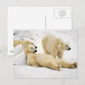 Na het Beer Briefkaart (Voorkant / Achterkant)