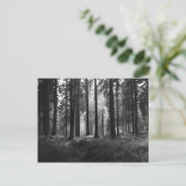 Na het Briefkaart Regen (Staand voorkant)