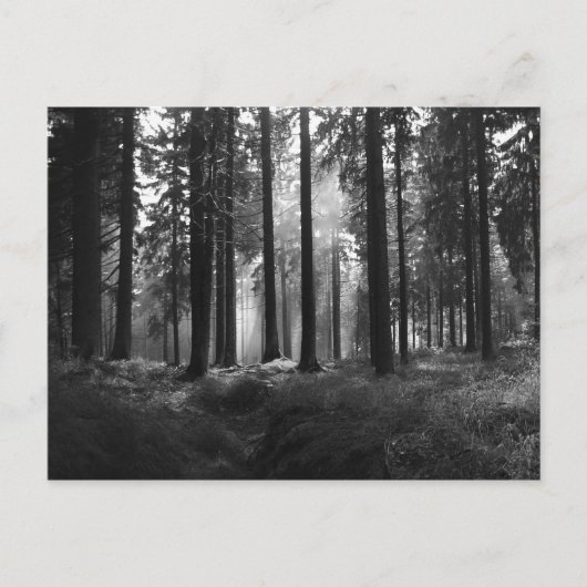 Na het Briefkaart Regen (Voorkant)