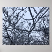 Na het Ice-Storm Poster (Voorkant)