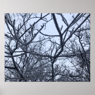 Na het Ice-Storm Poster
