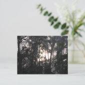 Na het Storm - Briefkaart #2 (Staand voorkant)