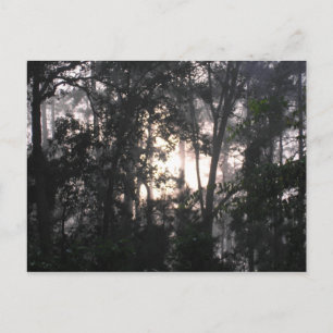 Na het Storm - Briefkaart #2