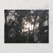 Na het Storm - Briefkaart #2 (Voorkant)