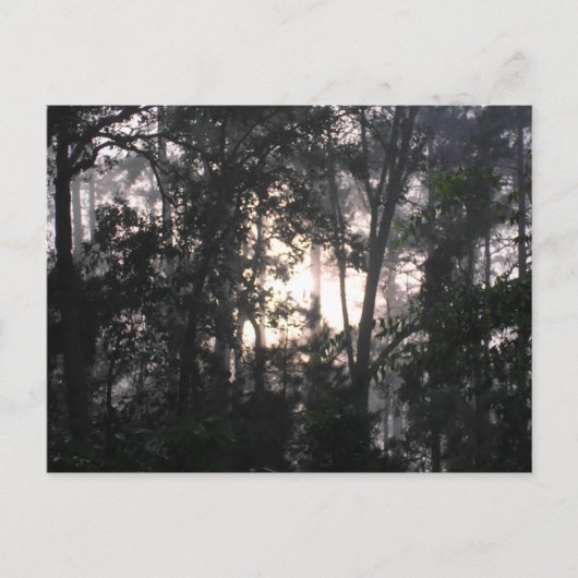 Na het Storm - Briefkaart #2 (Voorkant)