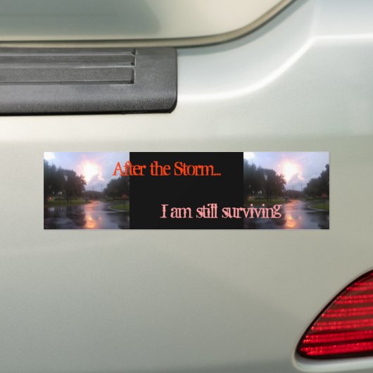 Na het Storm Bumpersticker (Op auto)
