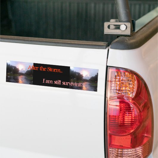 Na het Storm Bumpersticker (Op Truck)