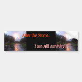 Na het Storm Bumpersticker (Voorkant)