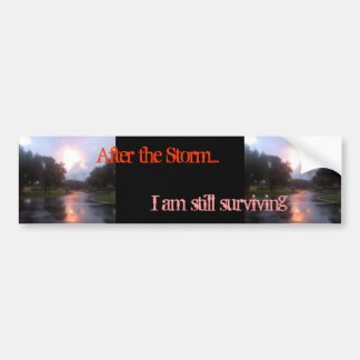 Na het Storm Bumpersticker