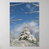 Na het Storm Poster (Voorkant)