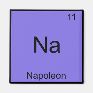 Na - Napoleon Grappig Chemie Element Symbool T-Shi Magneet