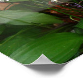 Na regen komt de zonneschijnheid gezegde poster (Hoek)