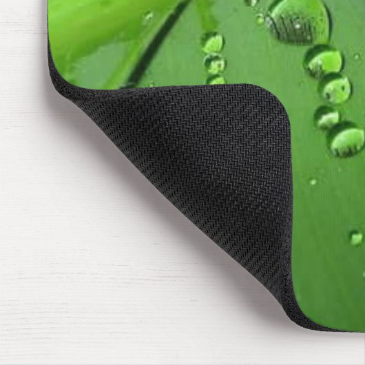 Na regen muismat (Hoek)