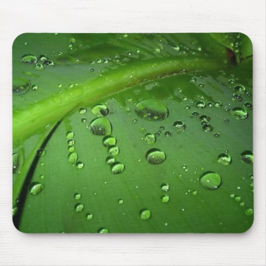 Na regen muismat (Voorkant)