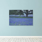 NA, Texas, Devine, Eik en blauwe klokjes Canvas Afdruk (Insitu (Houten vloer))