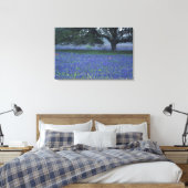 NA, Texas, Devine, Eik en blauwe klokjes Canvas Afdruk (Insitu (Slaapkamer))
