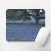 NA, Texas, Devine, Eik en blauwe klokjes Muismat (Met muis)