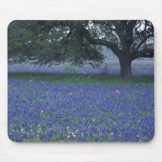 NA, Texas, Devine, Eik en blauwe klokjes Muismat (Voorkant)