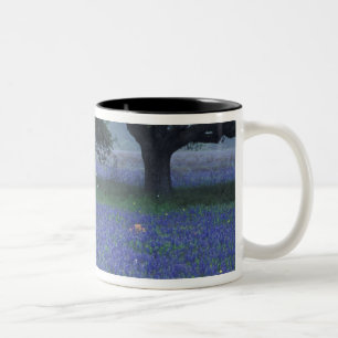 NA, Texas, Devine, Eik en blauwe lupinen Tweekleurige Koffiemok