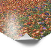 NA, Texas, Texas Hill Country, Buchan Dam, Foto Afdruk (Hoek)