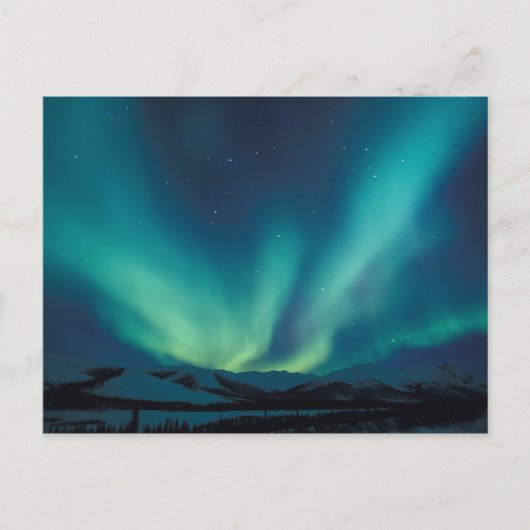 NA, USA, Alaska, Brooks Range, Curtains of green Briefkaart (Voorkant)