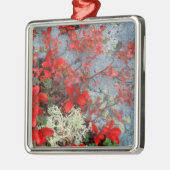 NA, USA, Alaska, Denali NP, Beer berry en Metalen Ornament (Links)