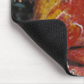 NA, USA, Alaska, Denali NP Frosted, herfst-gekleur Muismat (Hoek)