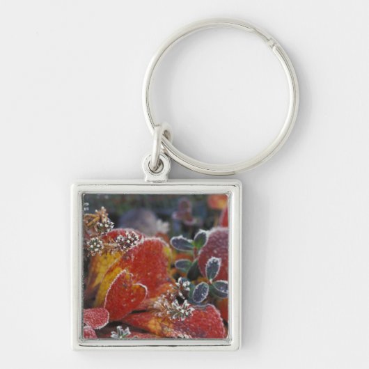 NA, USA, Alaska, Denali NP Frosted, herfst-gekleur Sleutelhanger (Voorkant)