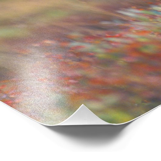 NA, USA, Alaska, Denali NP, Grizzly bear Foto Afdruk (Hoek)