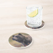 NA, USA, Alaska, Denali NP, Grizzly bear Zandsteen Onderzetter (Zijkant)