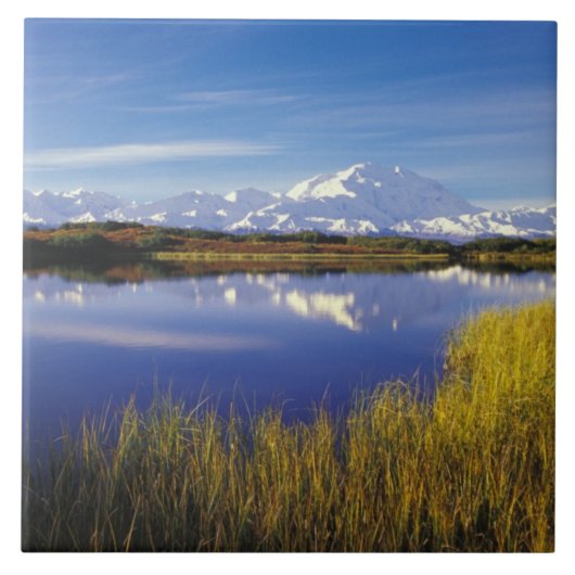 NA, USA, Alaska, Denali NP Mt. McKinley in Tegeltje (Voorkant)